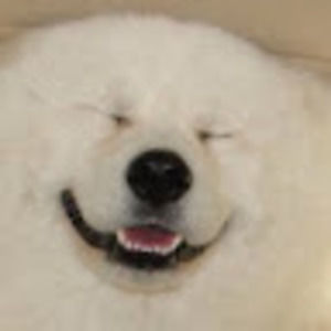 Meet your Posher, Borrb